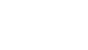 Pražská tělovýchovná unie